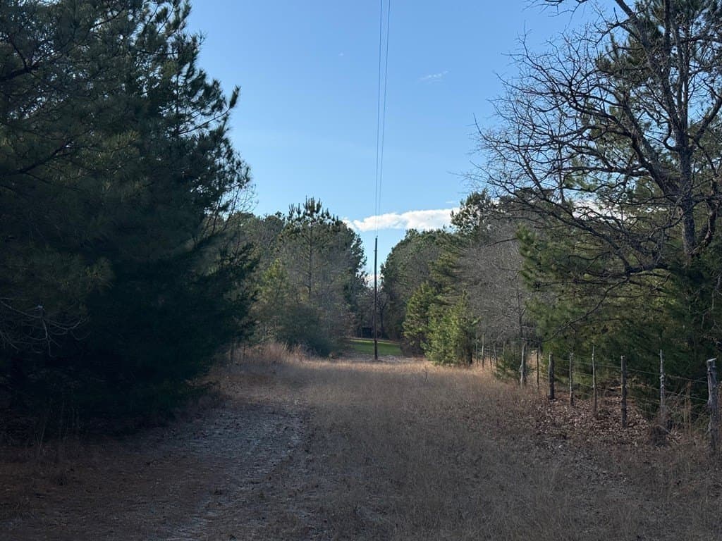 22.3 acres in ANDERSON County - photo 48