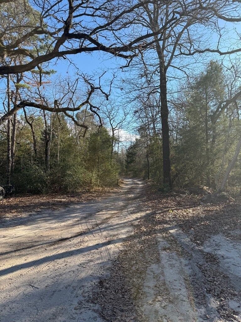 22.3 acres in ANDERSON County - photo 10