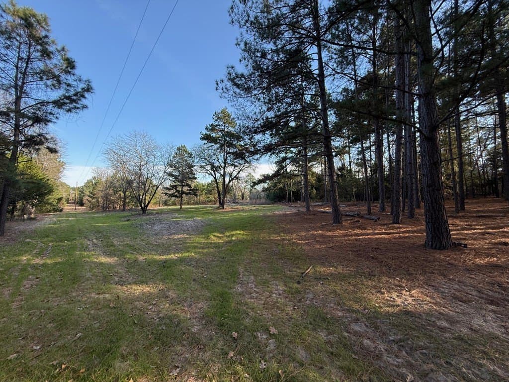 22.3 acres in ANDERSON County - photo 39