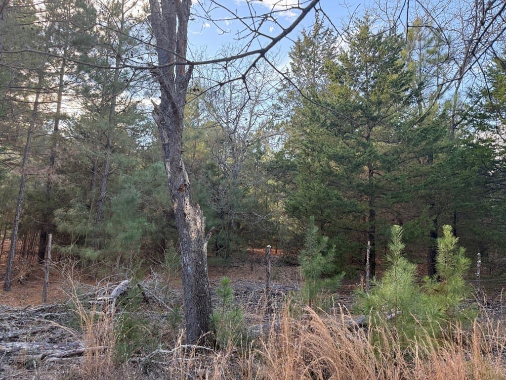 22.3 acres in ANDERSON County - photo 46