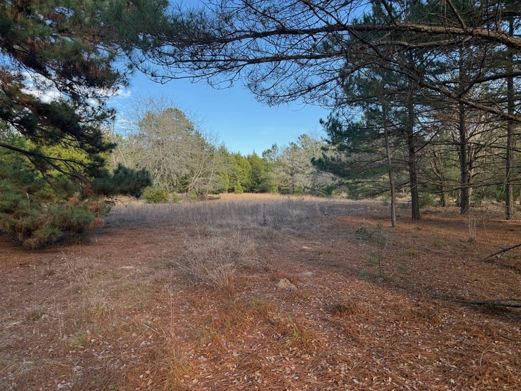 22.3 acres in ANDERSON County - photo 45