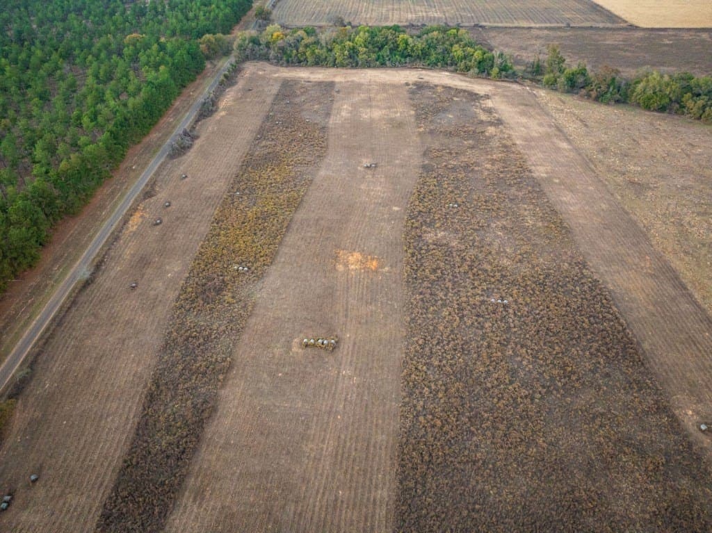 10.6 acres in ANDERSON County gallery image 3