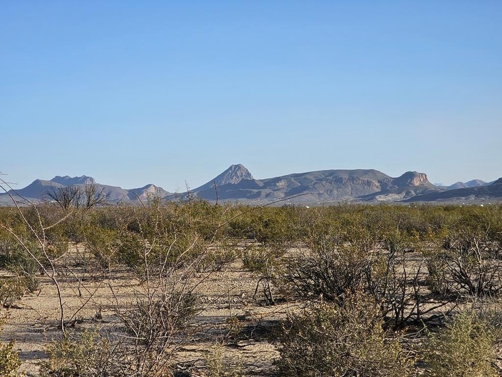 10 acres in Brewster County gallery image 4