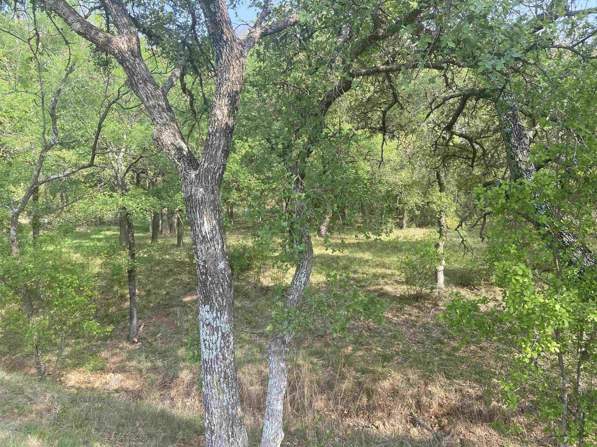 0.35 acres in Llano County - photo 7