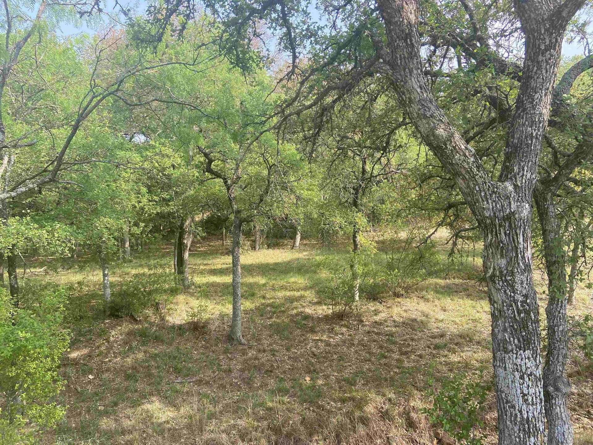 0.35 acres in Llano County - photo 8