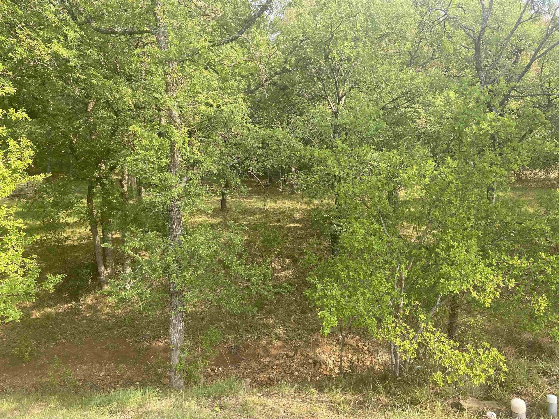 0.35 acres in Llano County - photo 6