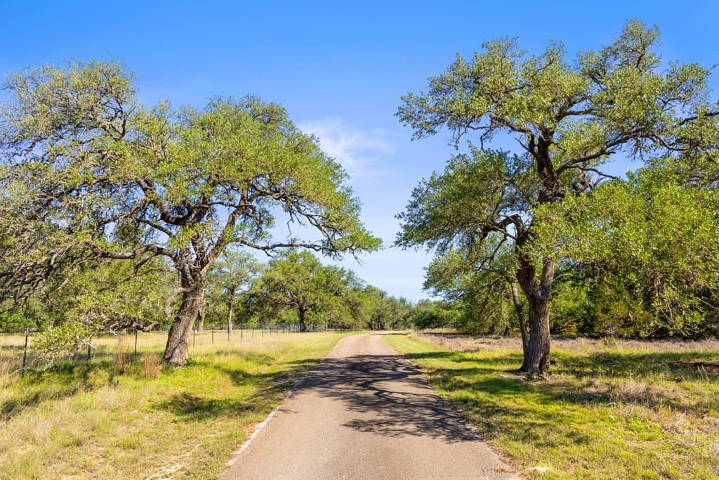 24.26 acres in Hays County gallery image 3