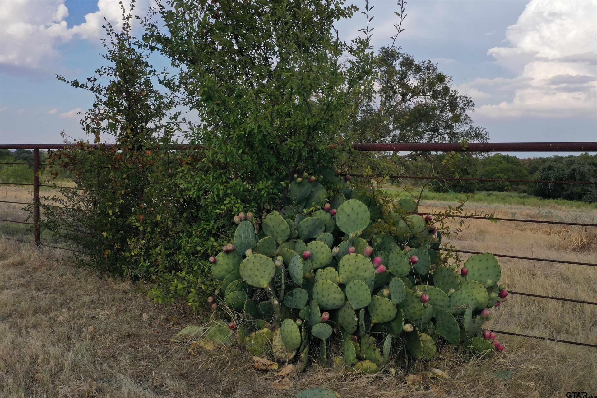 49.55 acres in Wise County - photo 46