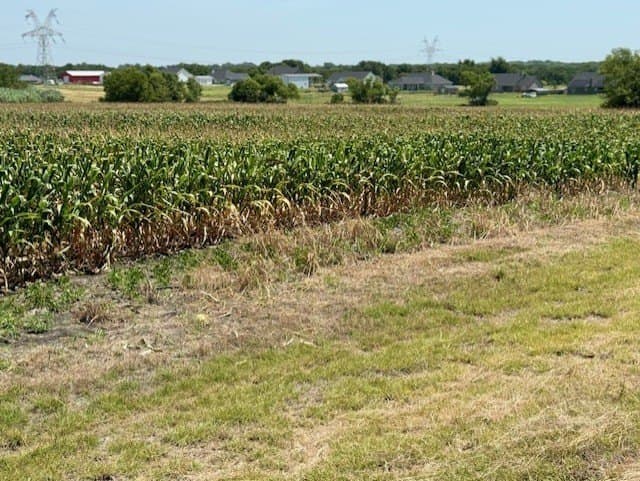 79 acres in Collin County - photo 6