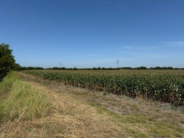 79 acres in Collin County - photo 8