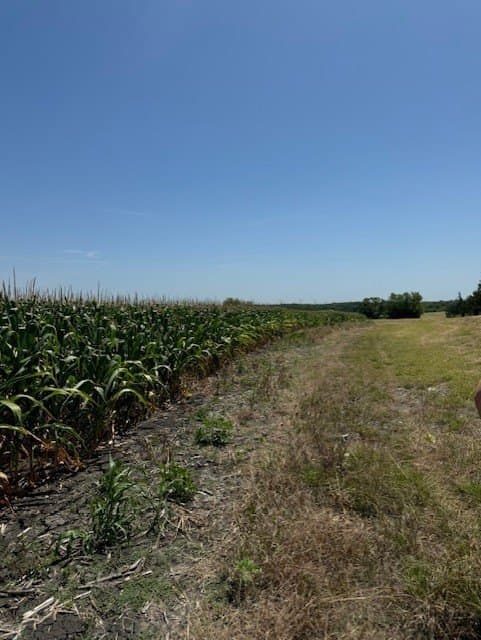 79 acres in Collin County - photo 7