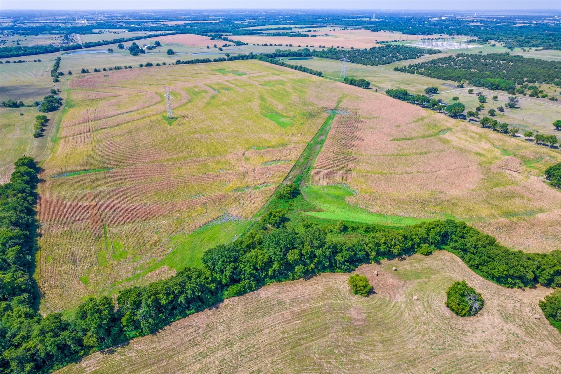 79 acres in Collin County gallery image 4