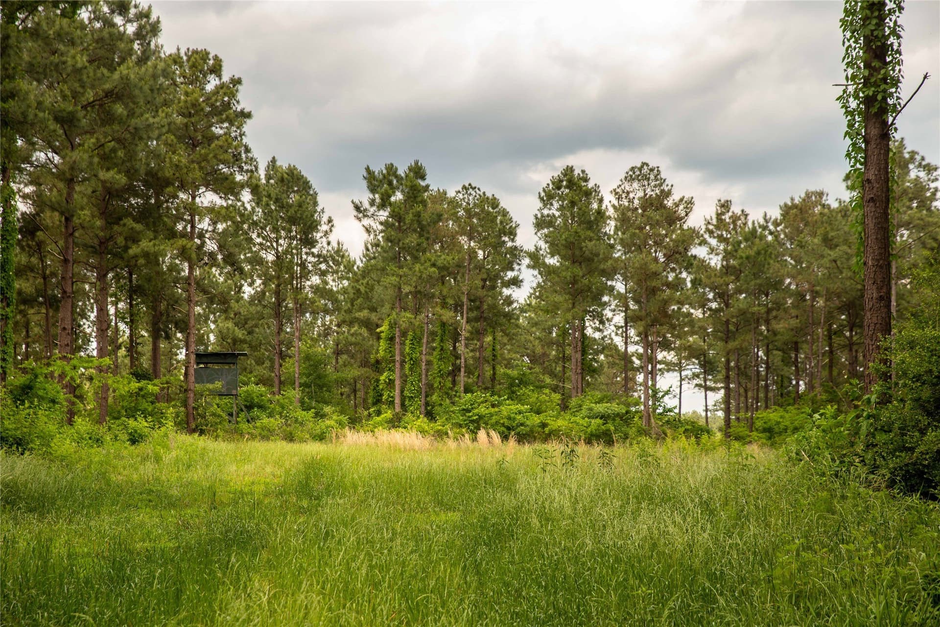 579 acres in Cass County - photo 35