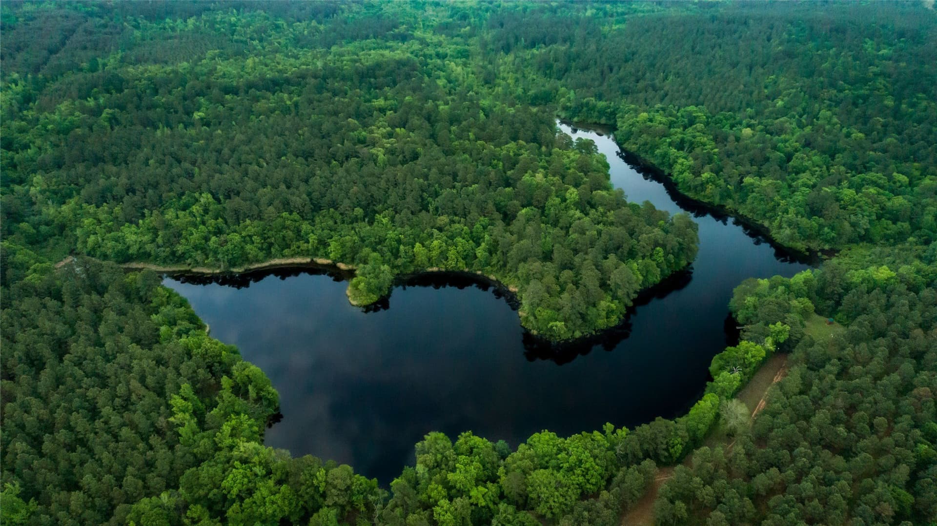 579 acres in Cass County - photo 10