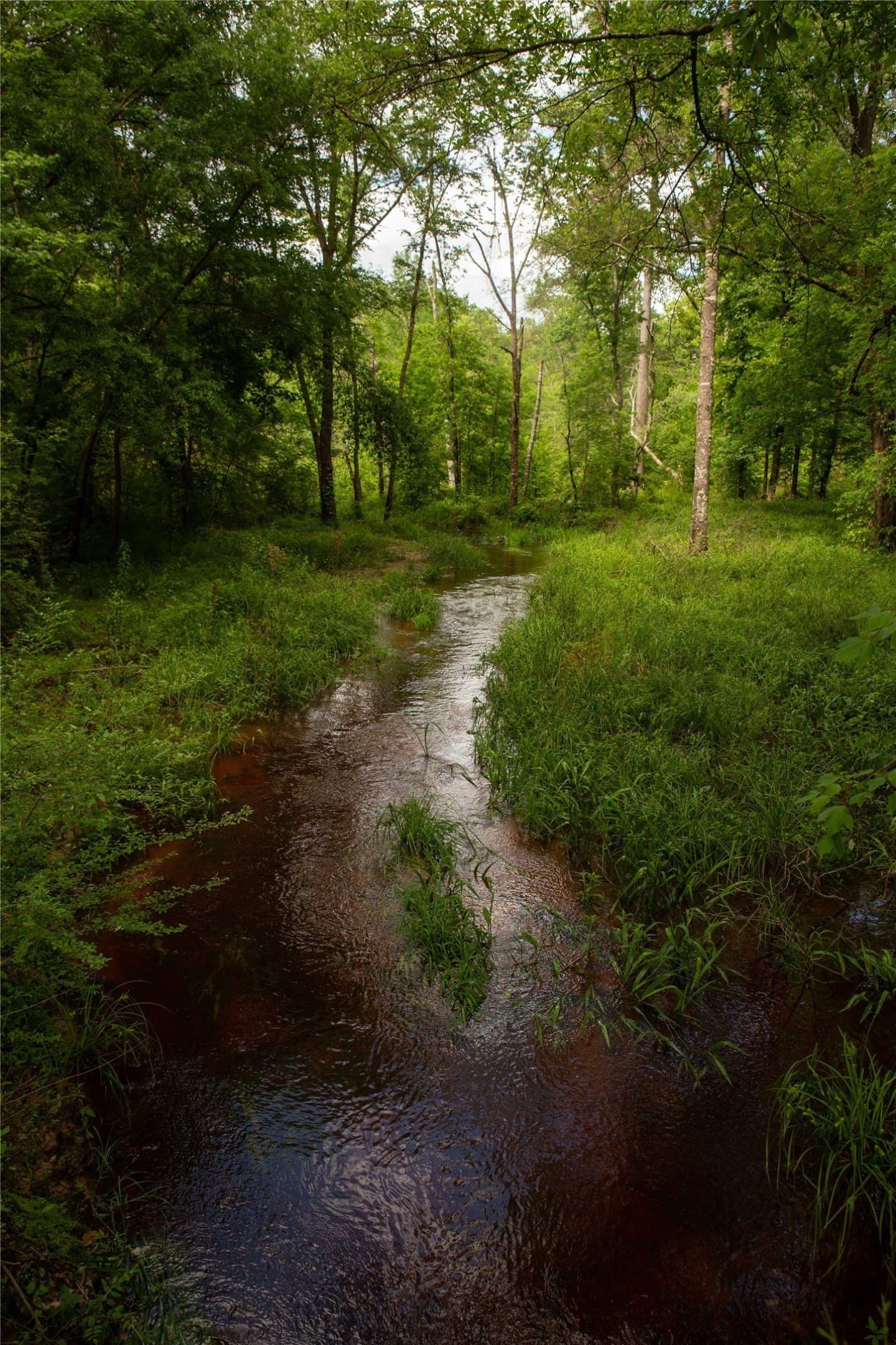 579 acres in Cass County - photo 24