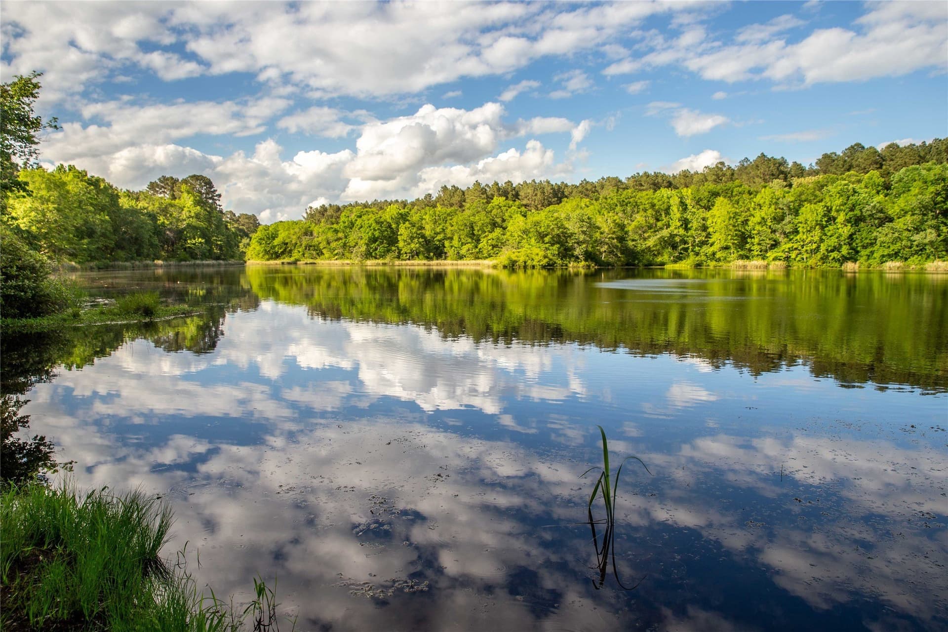 579 acres in Cass County - photo 12