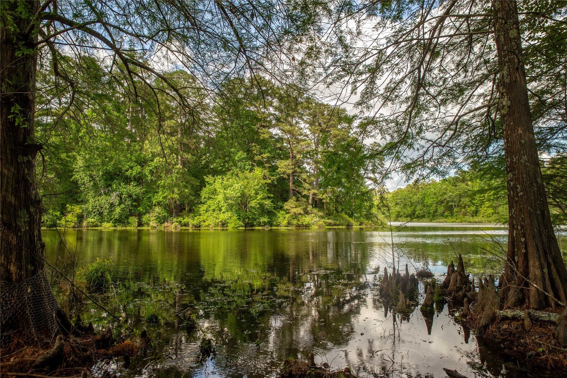 579 acres in Cass County - photo 13