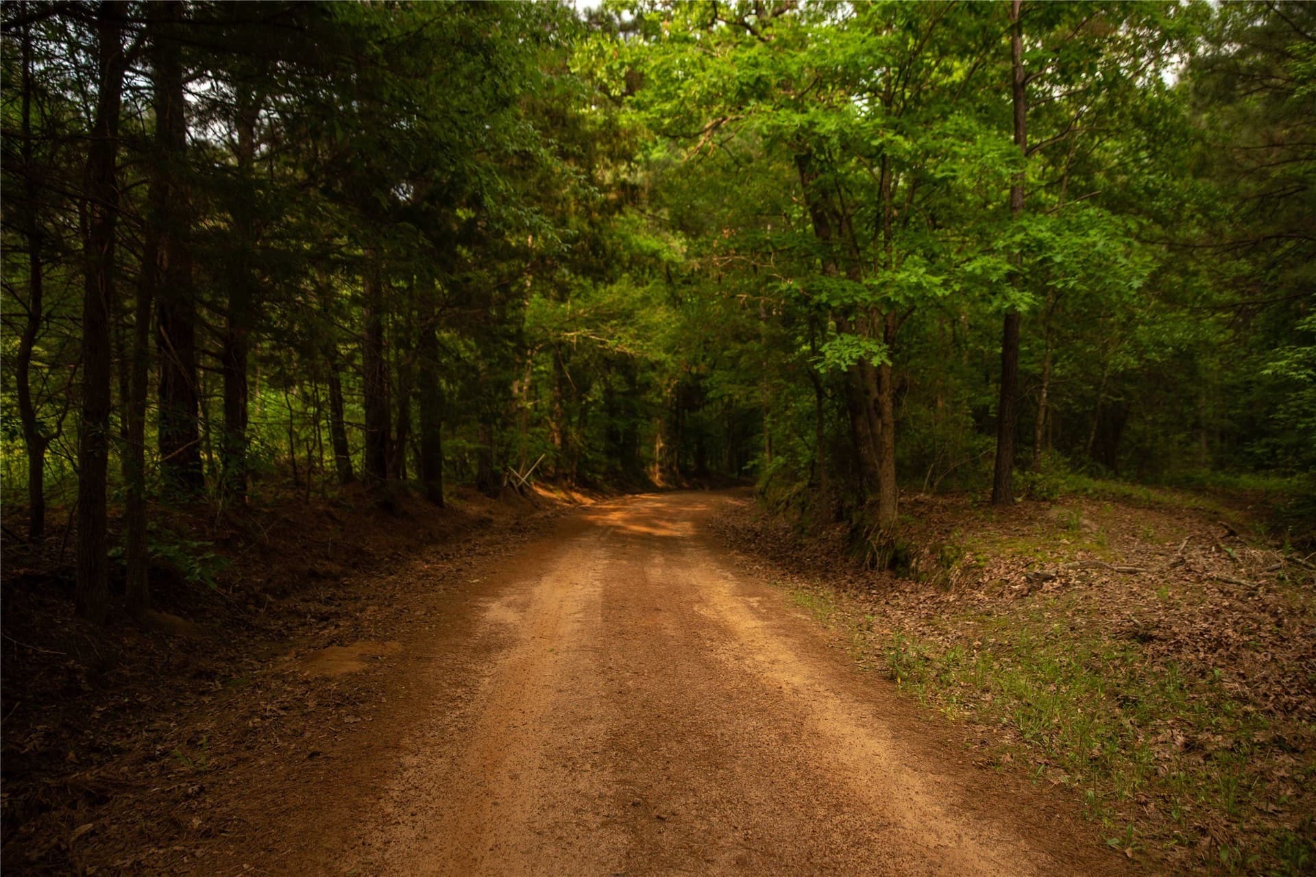 579 acres in Cass County - photo 27