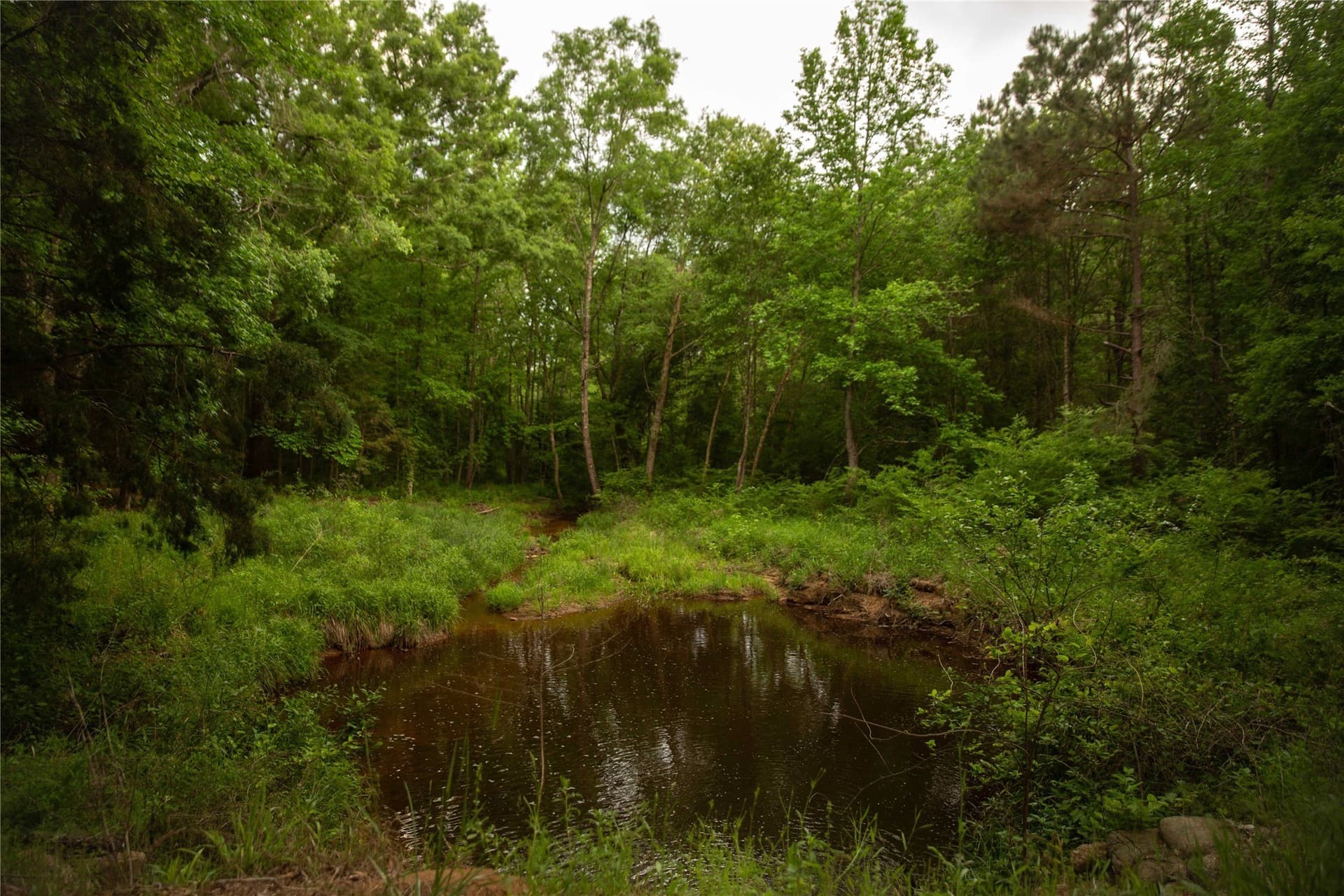 579 acres in Cass County - photo 28