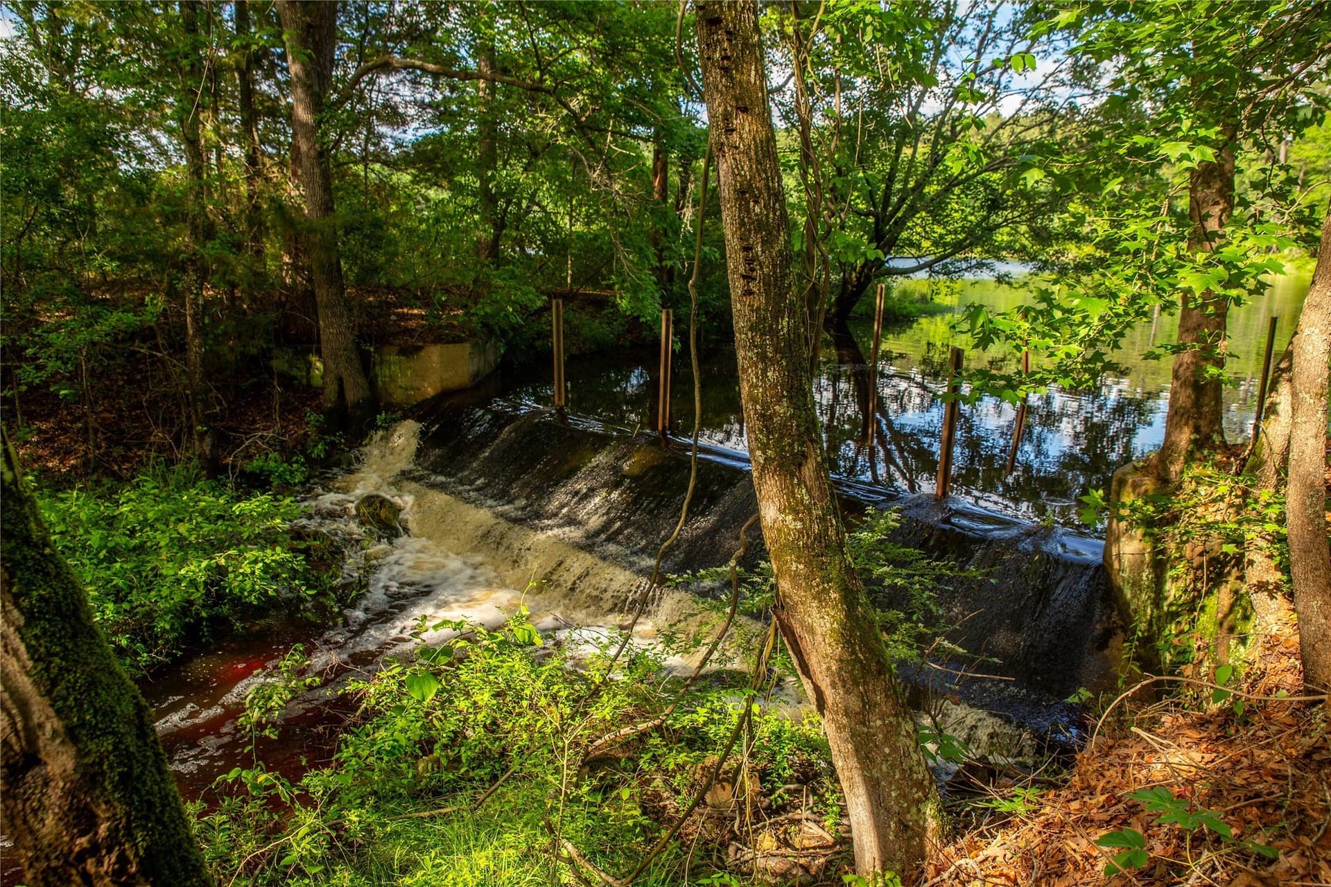 579 acres in Cass County - photo 16