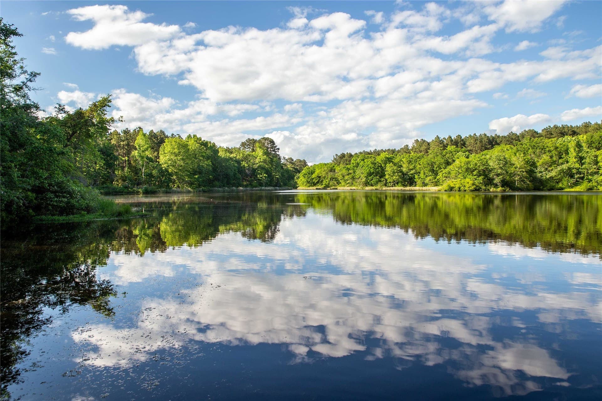 579 acres in Cass County - photo 8