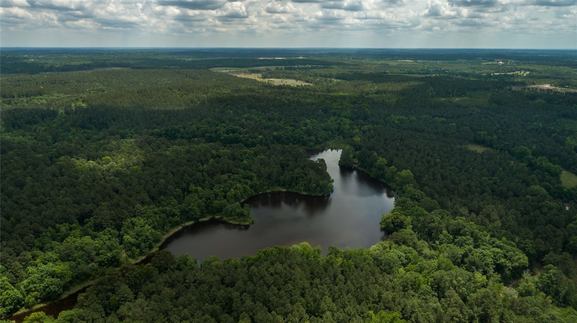 579 acres in Cass County - photo 25