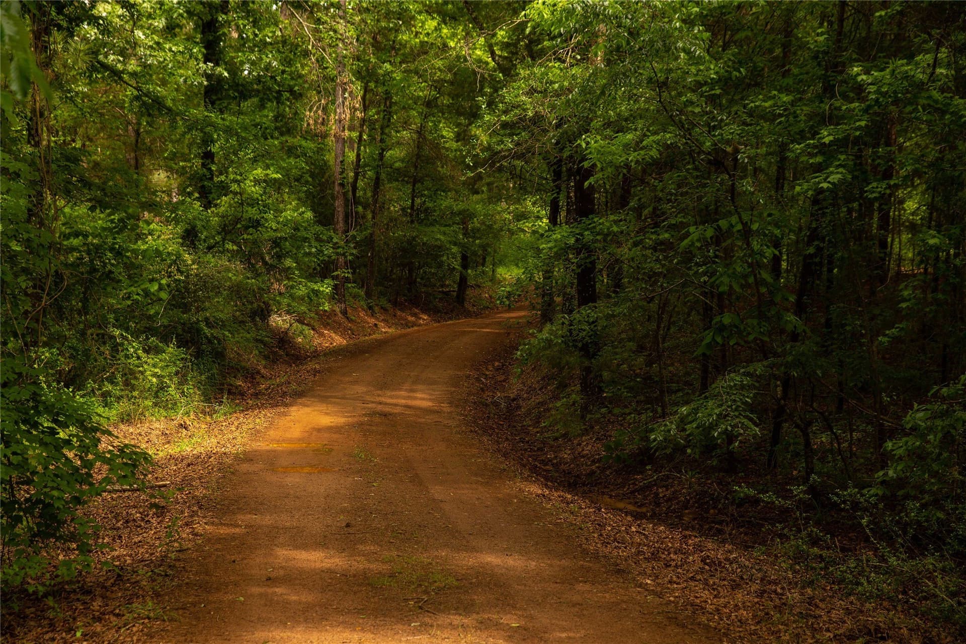 579 acres in Cass County - photo 5