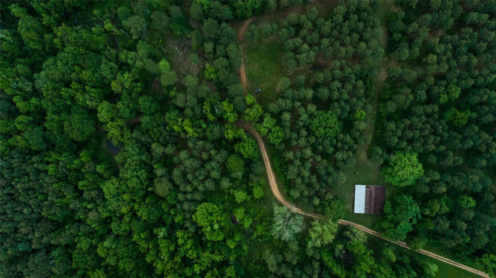 579 acres in Cass County - photo 26