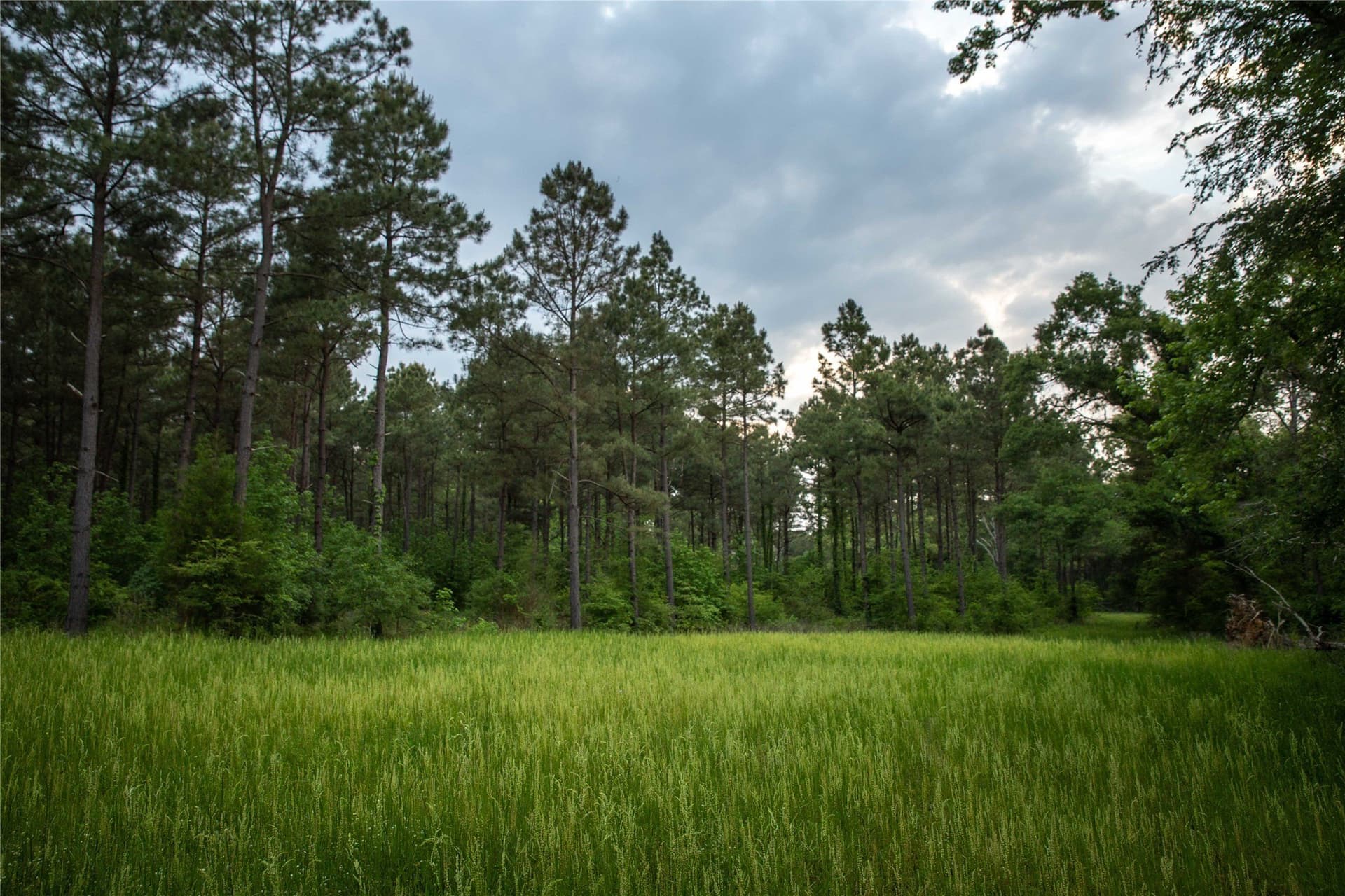 579 acres in Cass County - photo 33