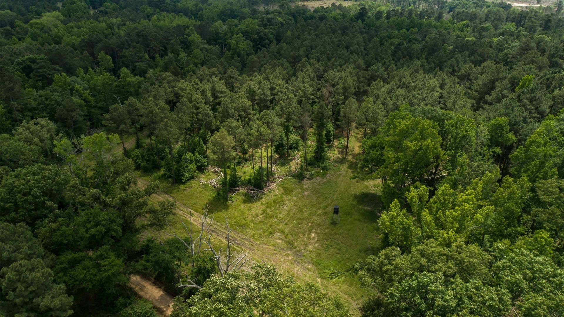 579 acres in Cass County - photo 34