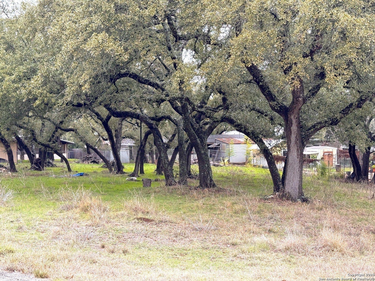 0.23 acres in Comal County - photo 5