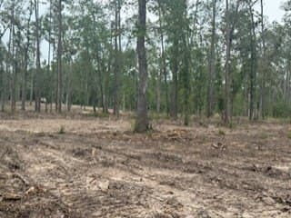 10 acres in Texas County gallery image 3