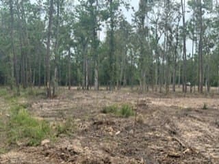 10 acres in Texas County gallery image 4