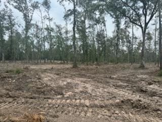 10 acres in Texas County