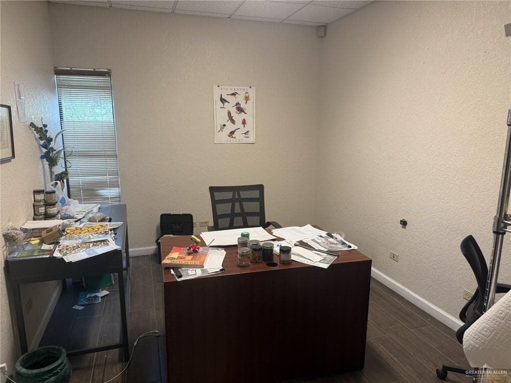 10.19 acres in Hidalgo County - photo 9