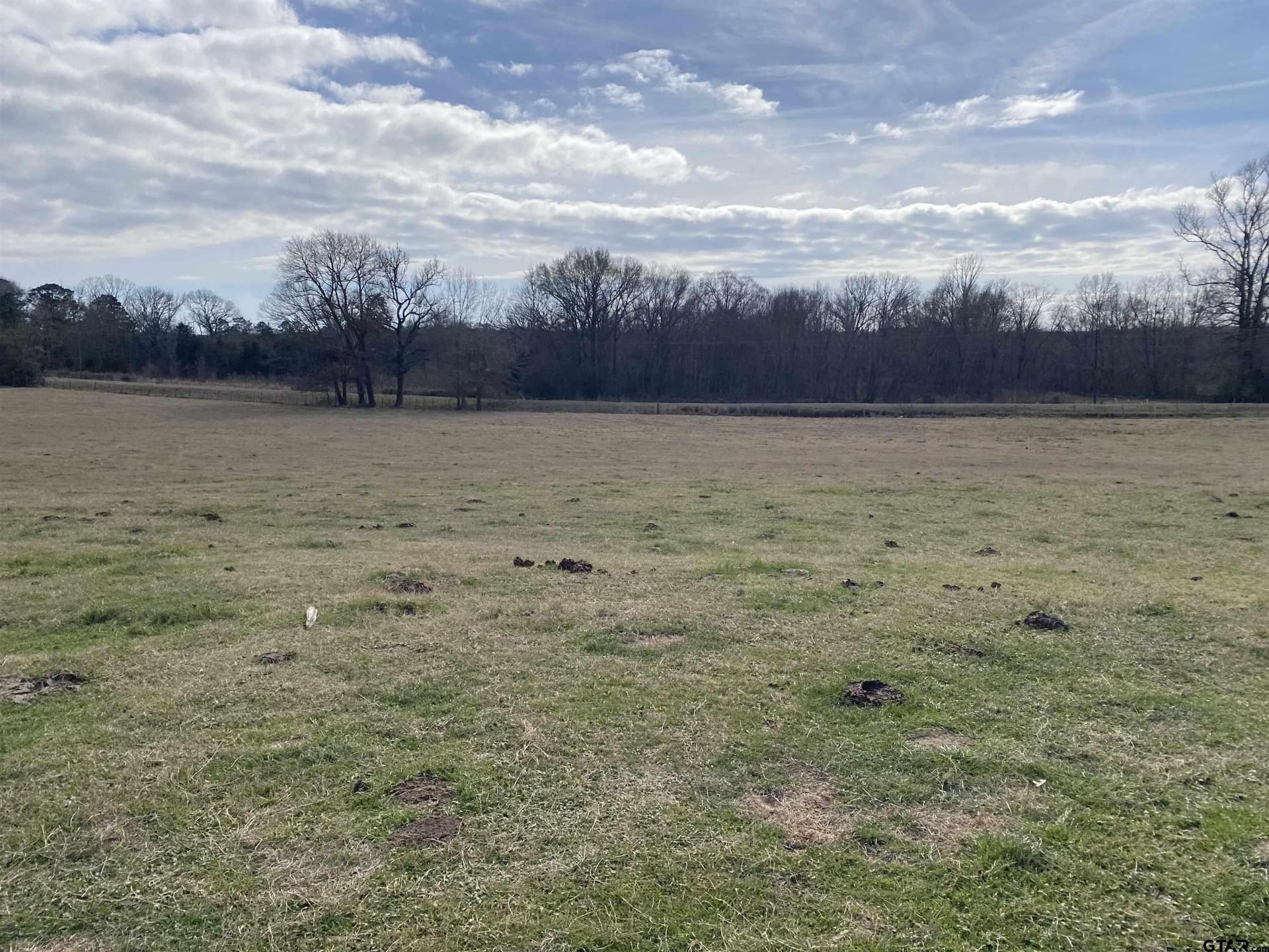 10.5 acres in Smith County gallery image 3