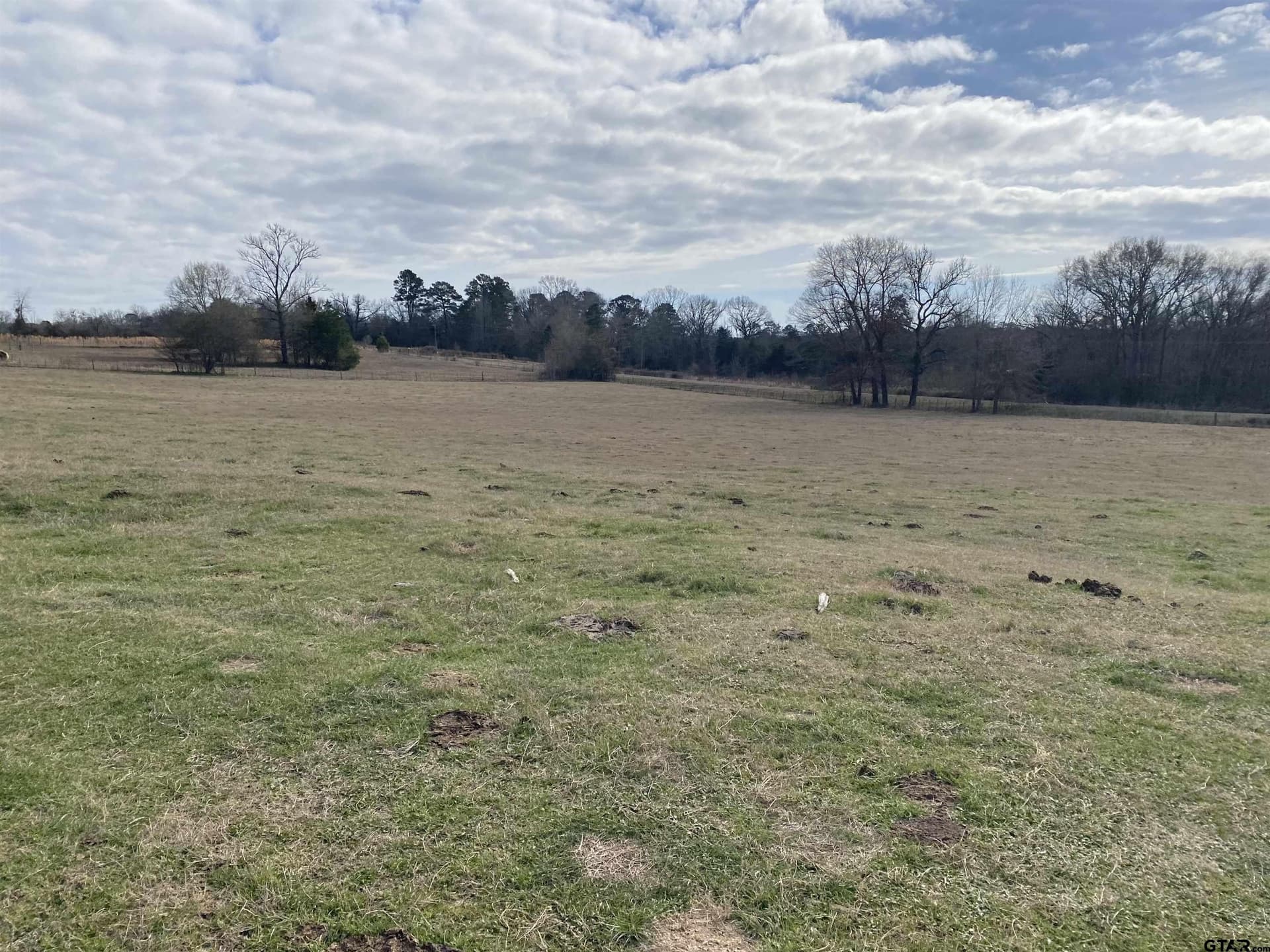 10.5 acres in Smith County gallery image 4