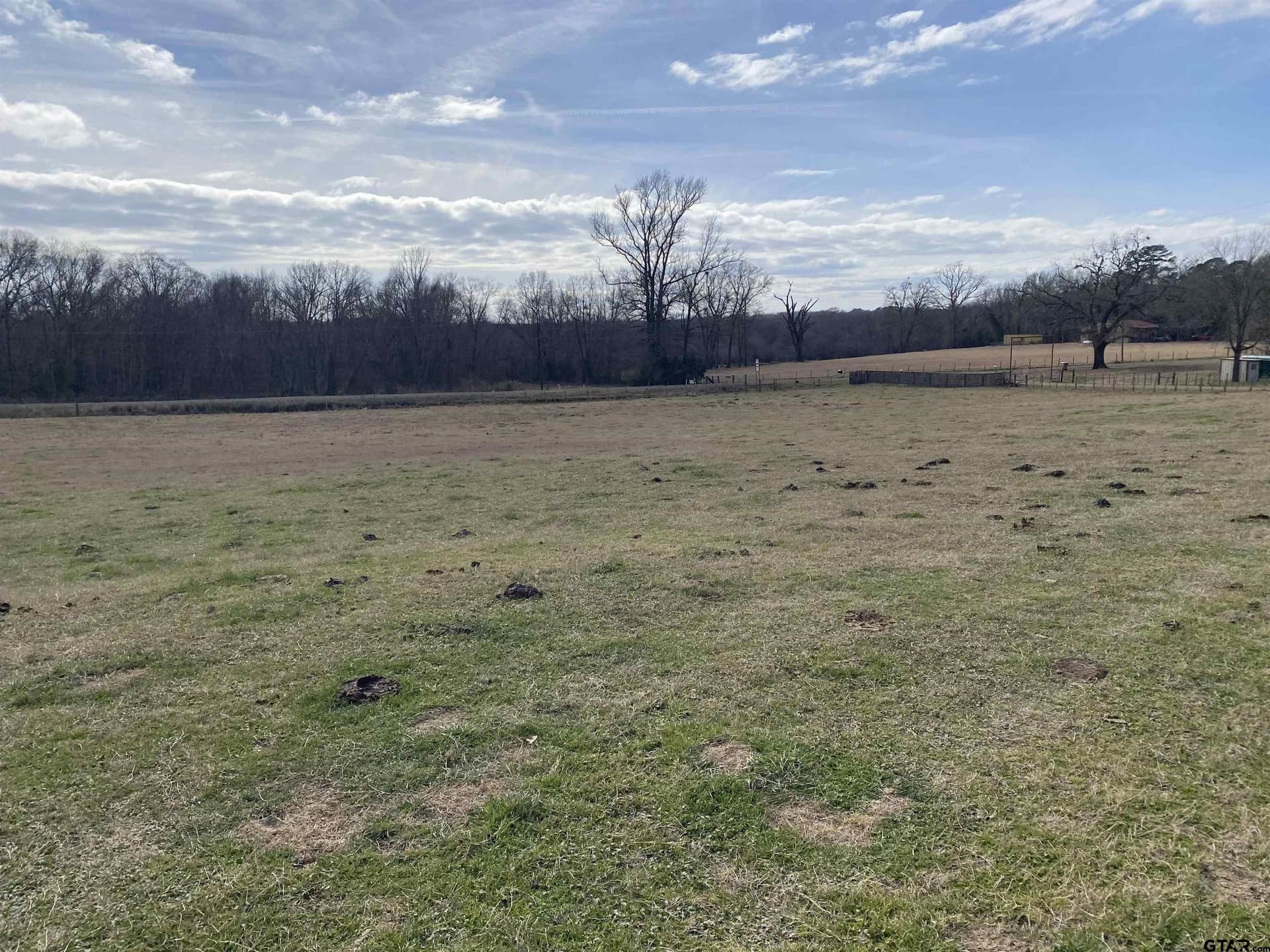 10.5 acres in Smith County gallery image 2