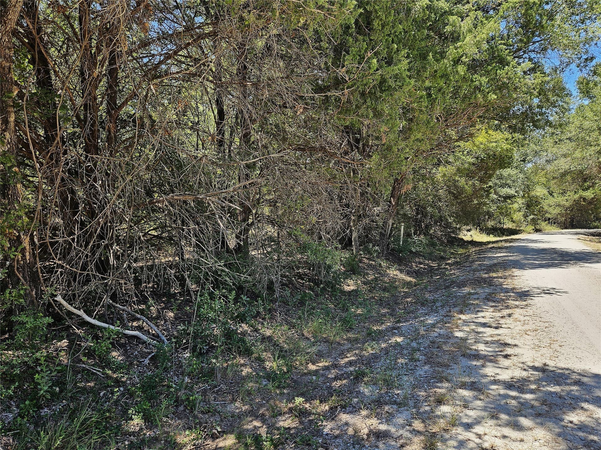 3.15 acres in Limestone County - photo 7