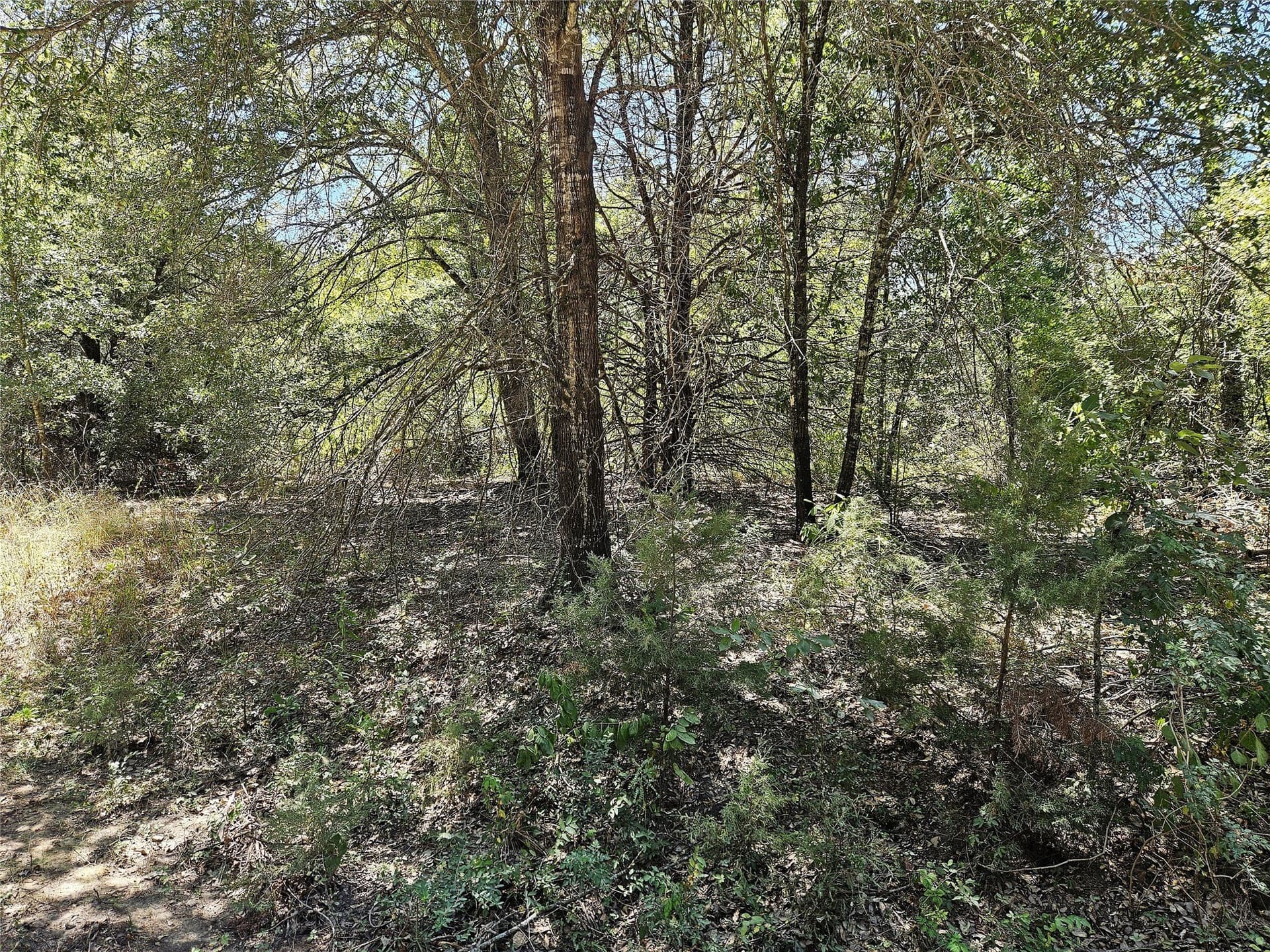 3.15 acres in Limestone County - photo 3