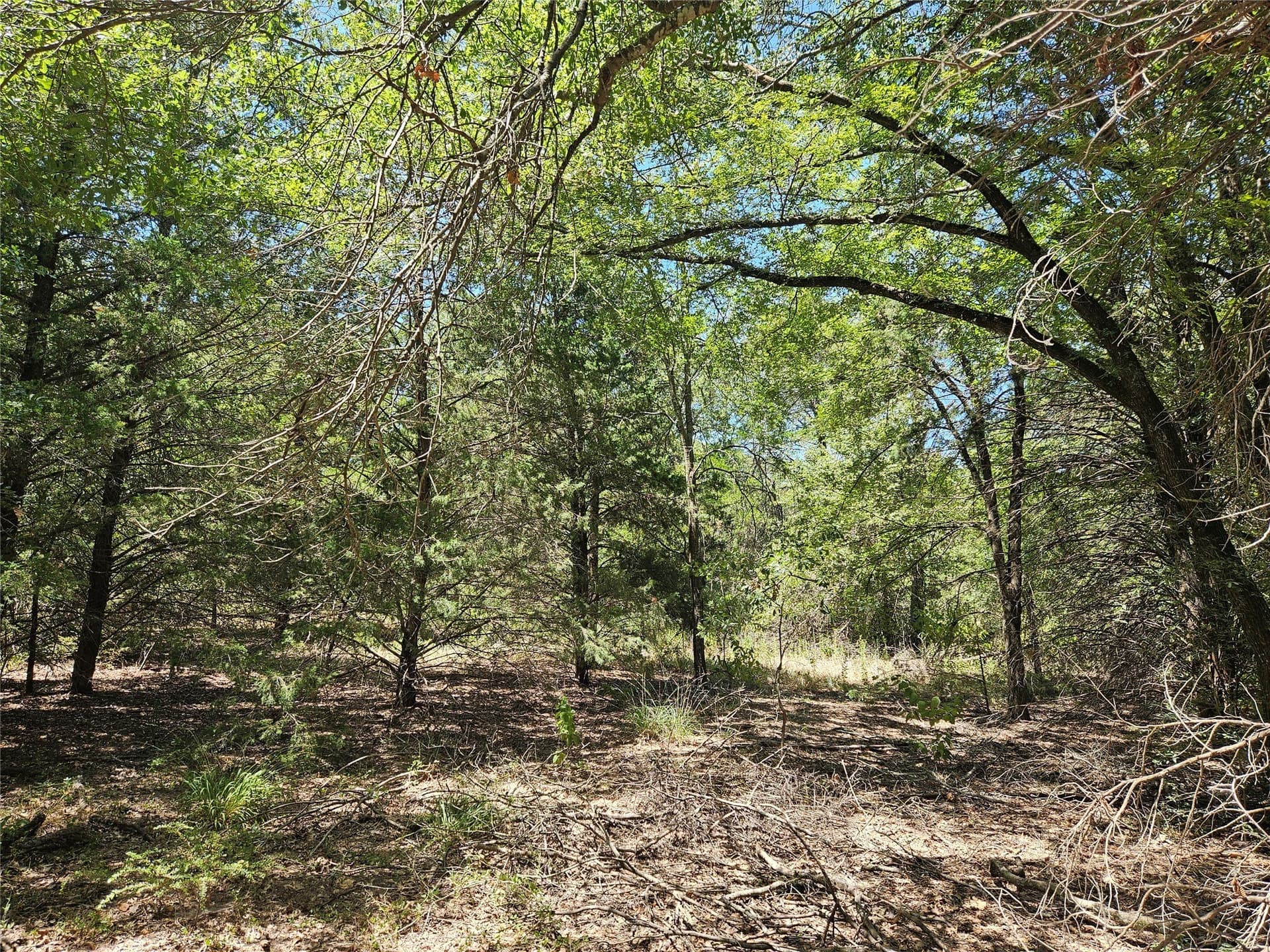 3.15 acres in Limestone County - photo 5