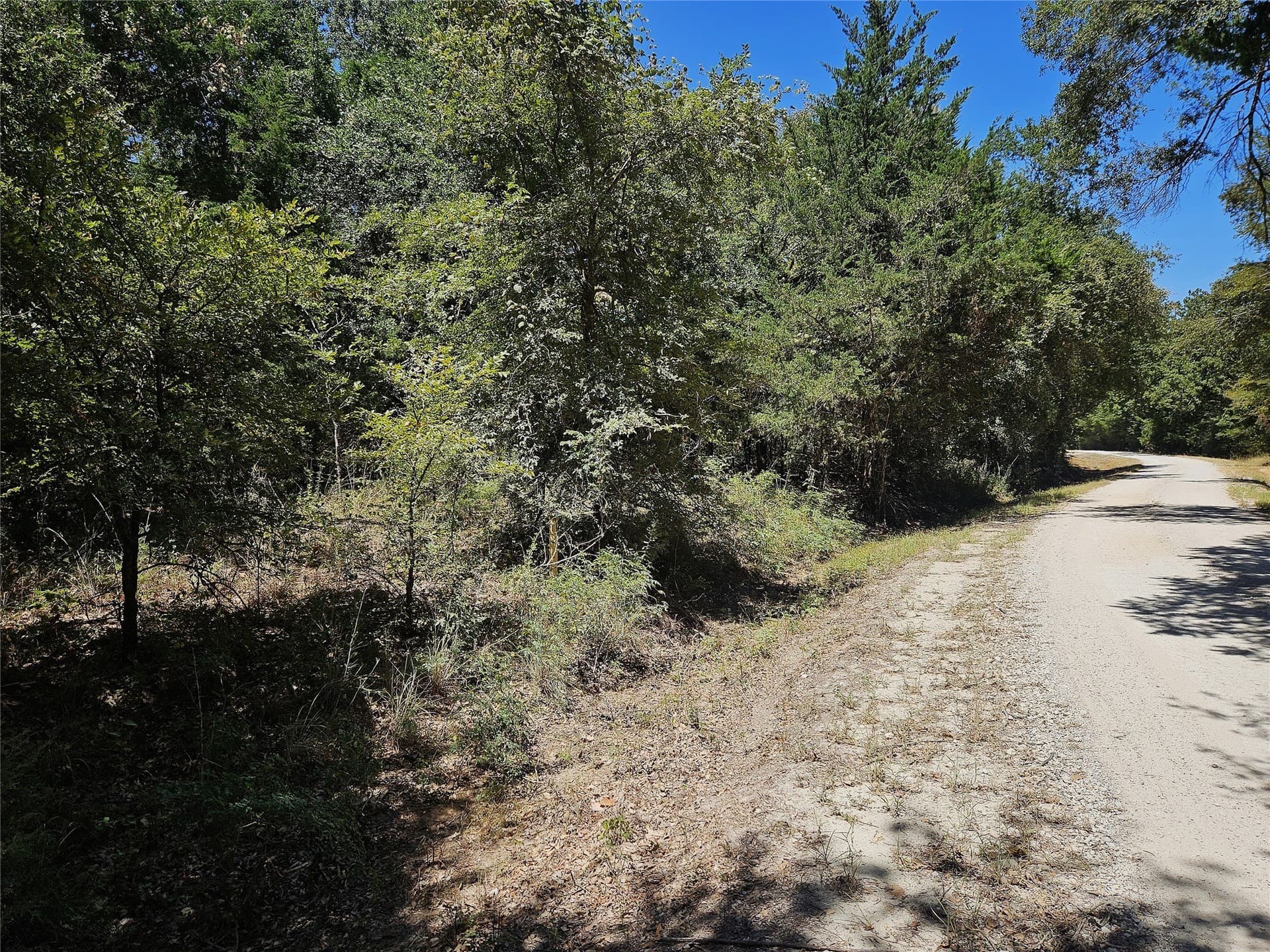 3.15 acres in Limestone County - photo 6
