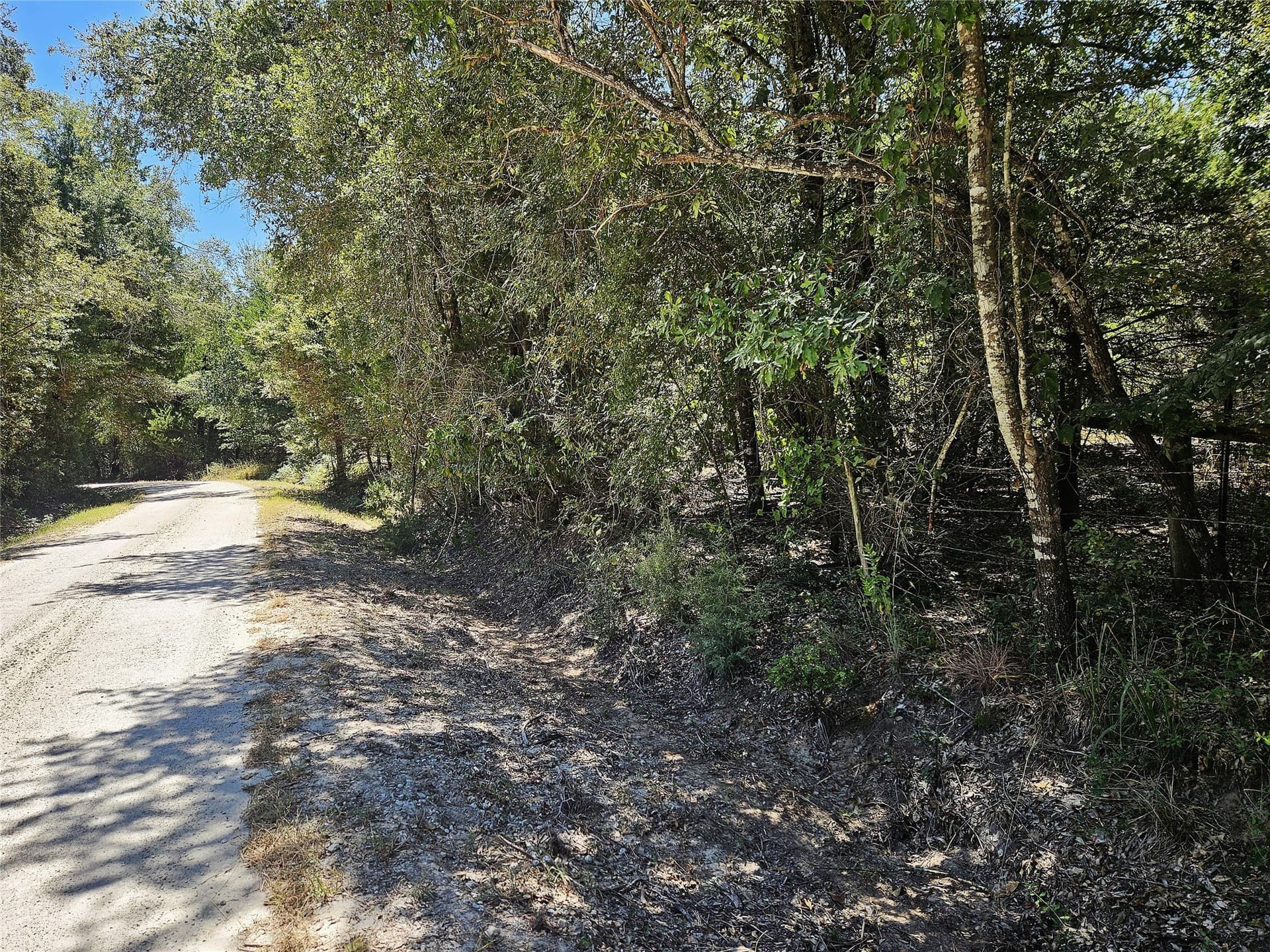 3.15 acres in Limestone County - photo 2