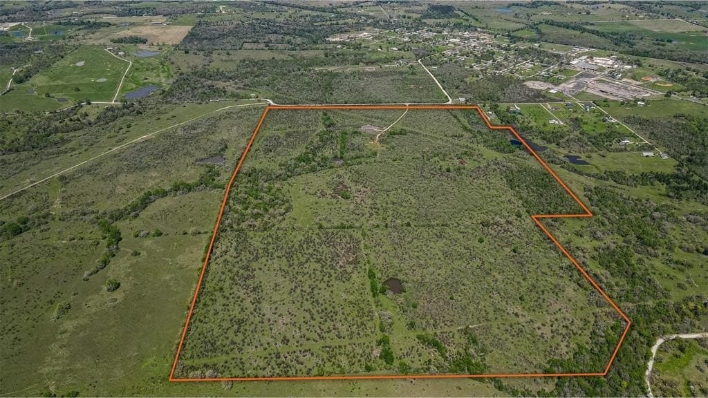 171.9 acres in Grimes County gallery image 3