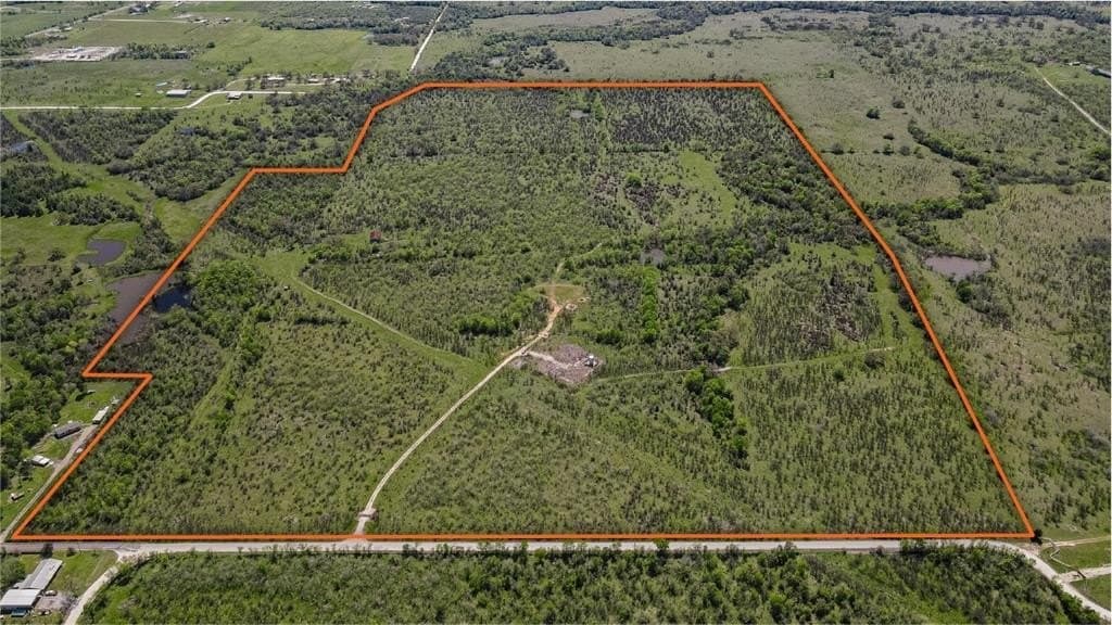 171.9 acres in Grimes County gallery image 2