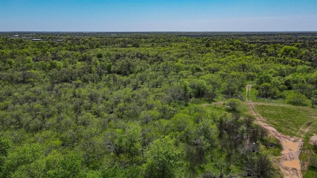 171.9 acres in Grimes County featured view