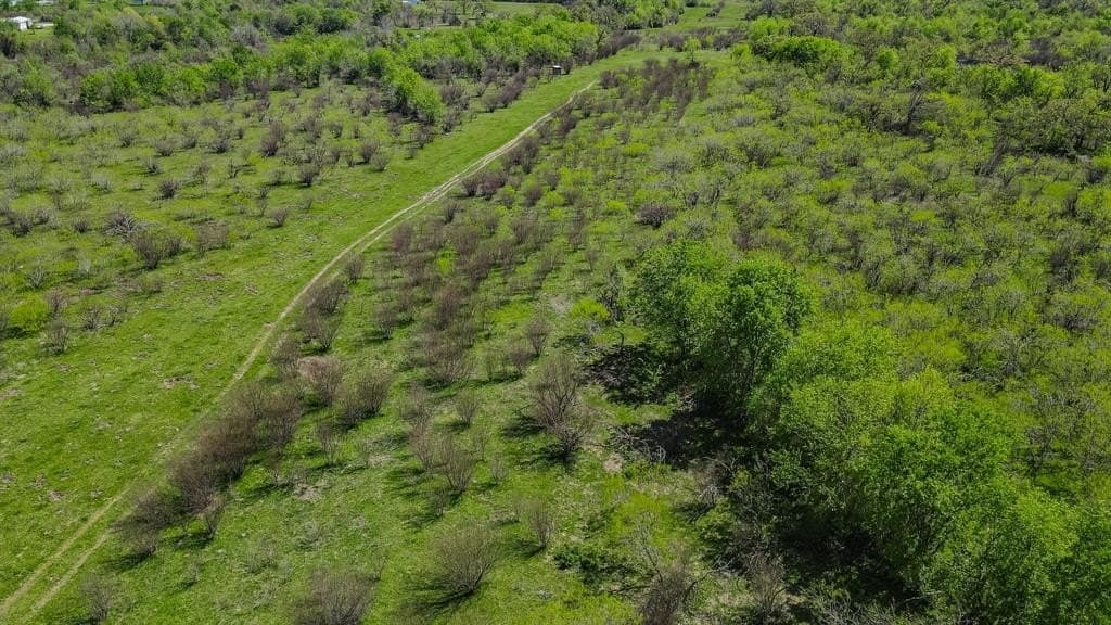 171.9 acres in Grimes County gallery image 4