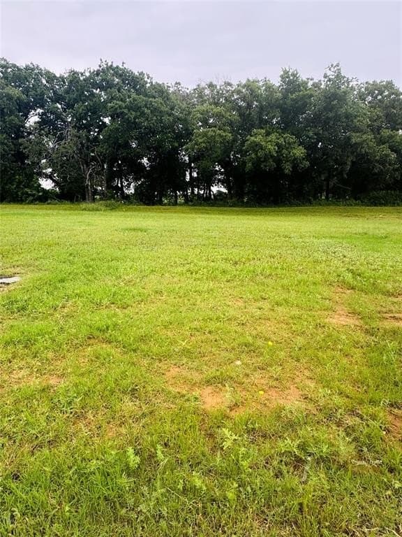 0.19 acres in Johnson County gallery image 2