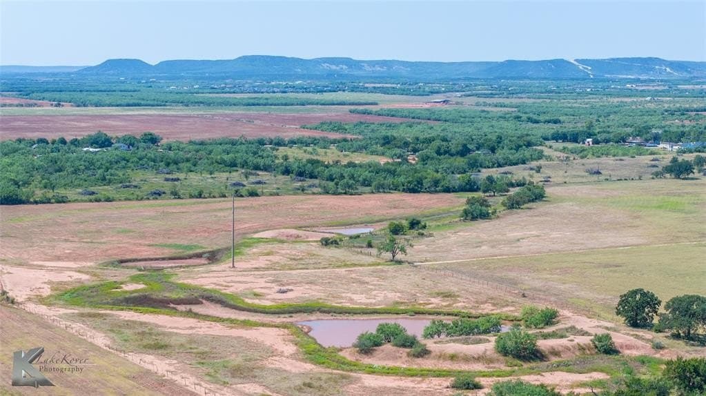 110 acres in Taylor County gallery image 2