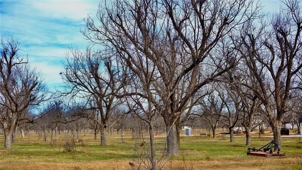1 acres in Hood County gallery image 2